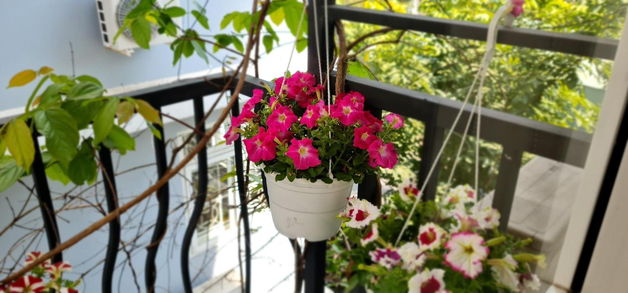 Spring Light Home TP. Hồ Chí Minh Ngoại thất bức ảnh